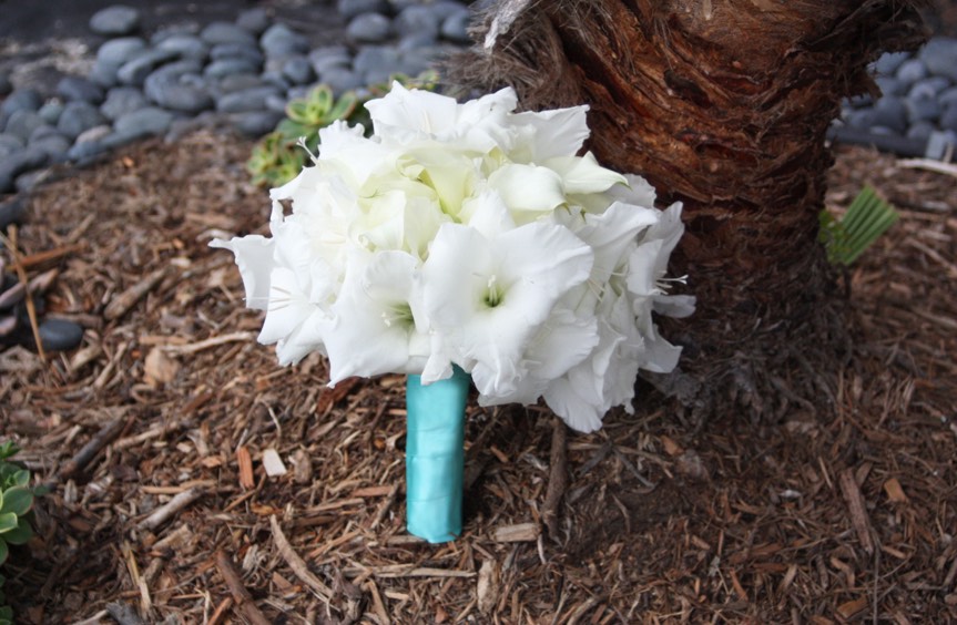 White Gladiolus For Weddings - AspirantSG