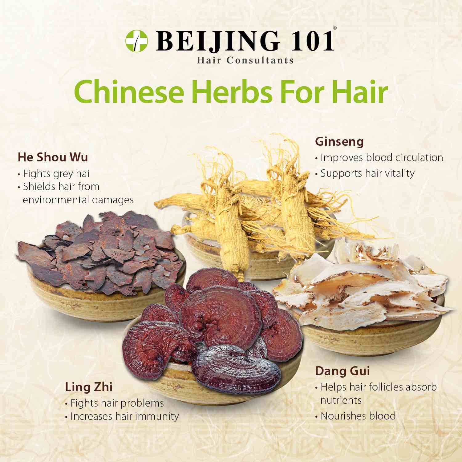 beijing-101-use-of-chinese-herbs-to-curb-hair-loss-aspirantsg