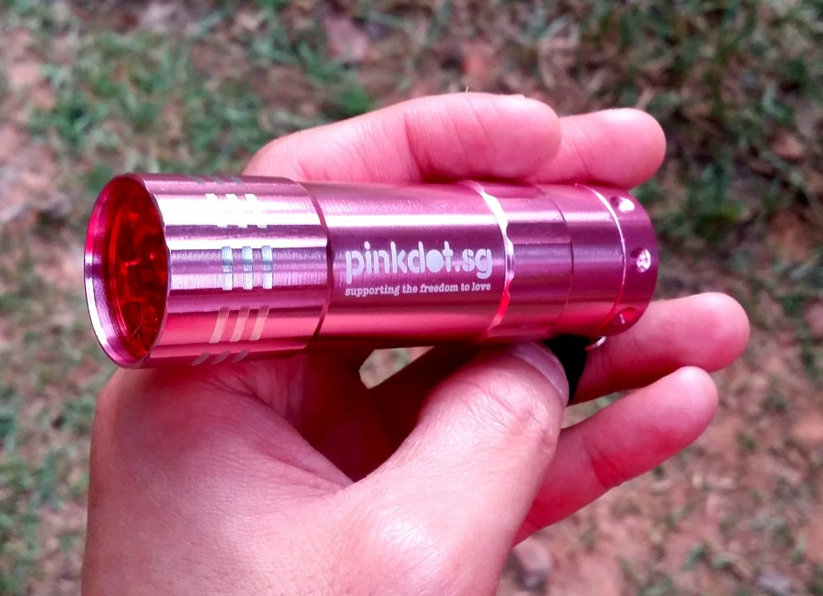 Pink Torchlight For Pink Dot SG 2014 - AspirantSG