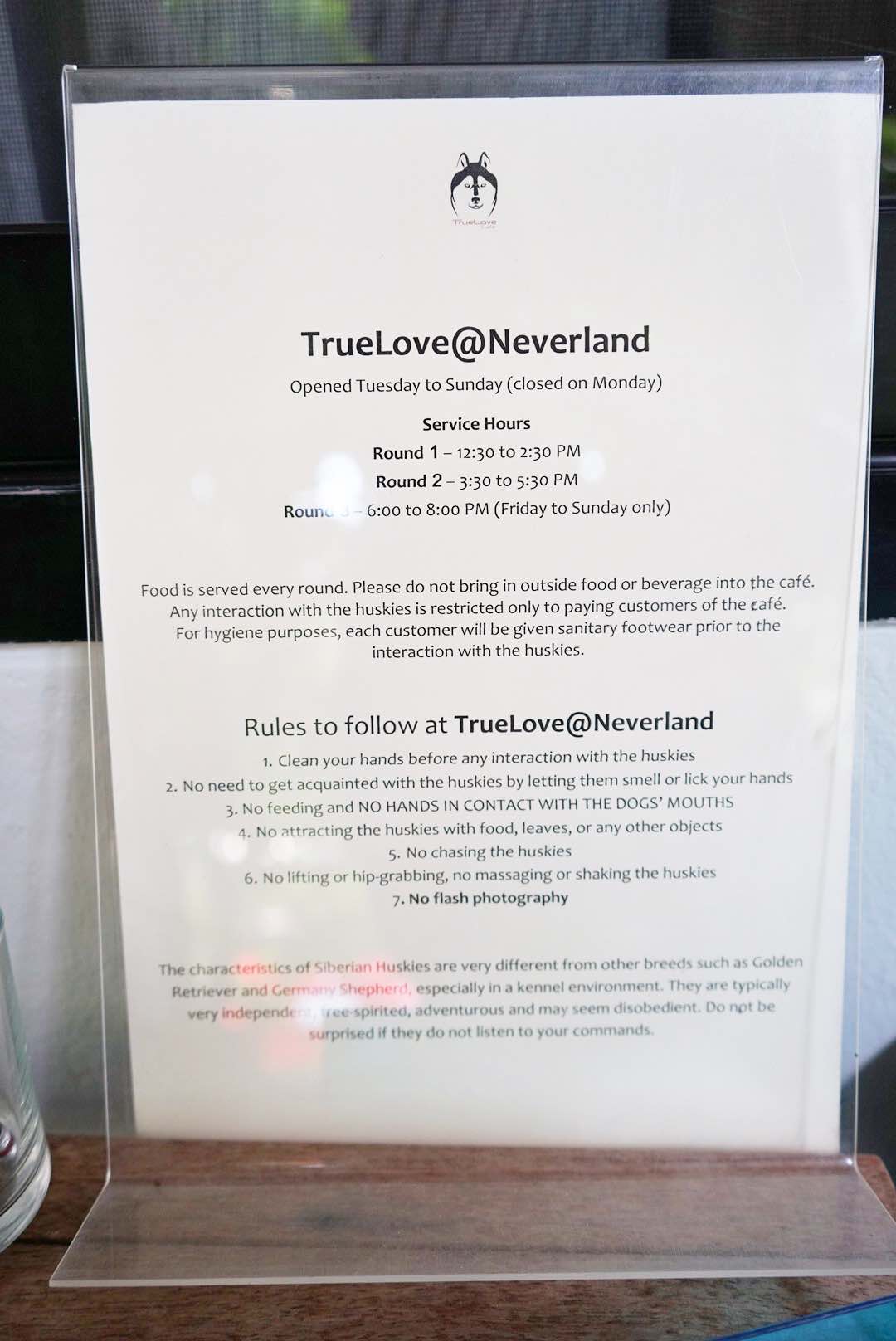 Must Read At Neverland Siberian True Love Cafe, Bangkok - AspirantSG
