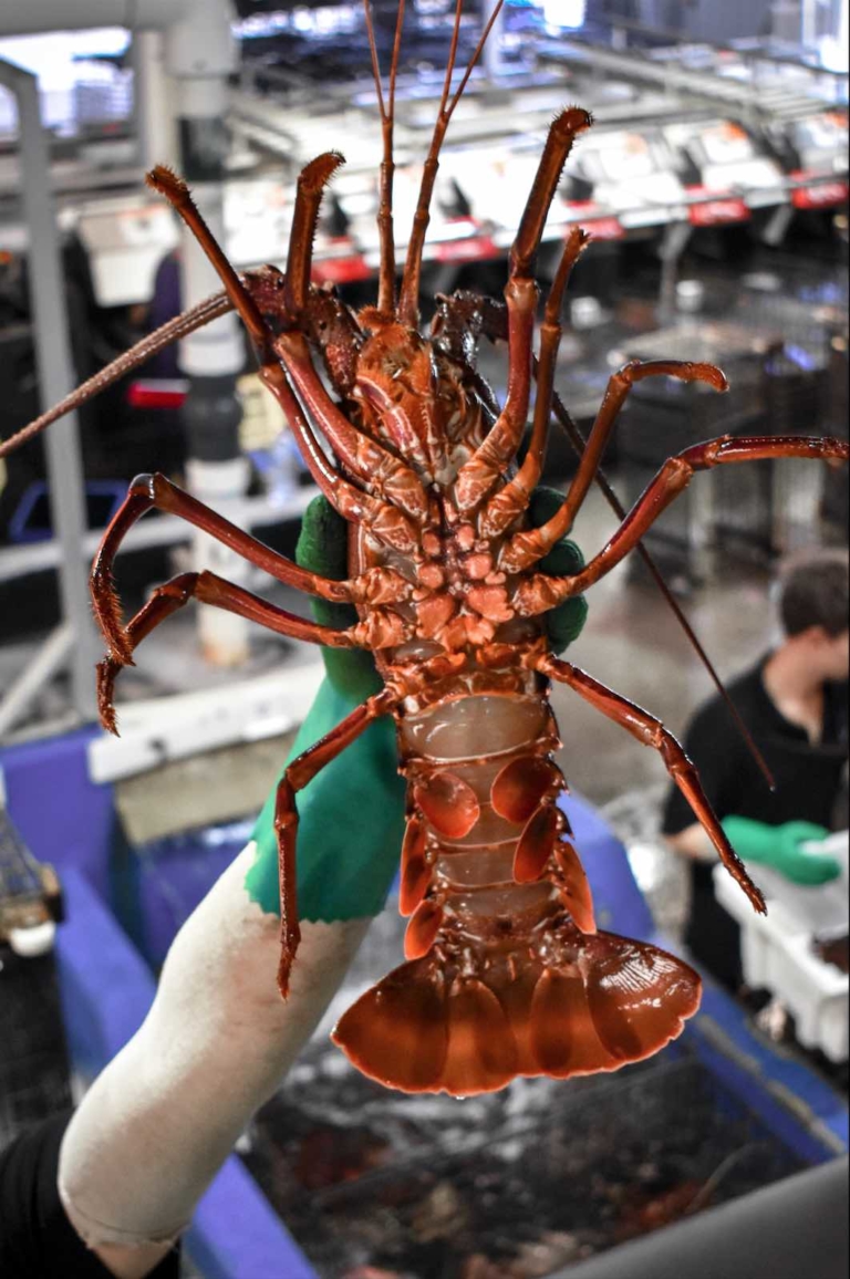 Perth Travel Guide Perth 7days Itinerary For Funfilled Australia