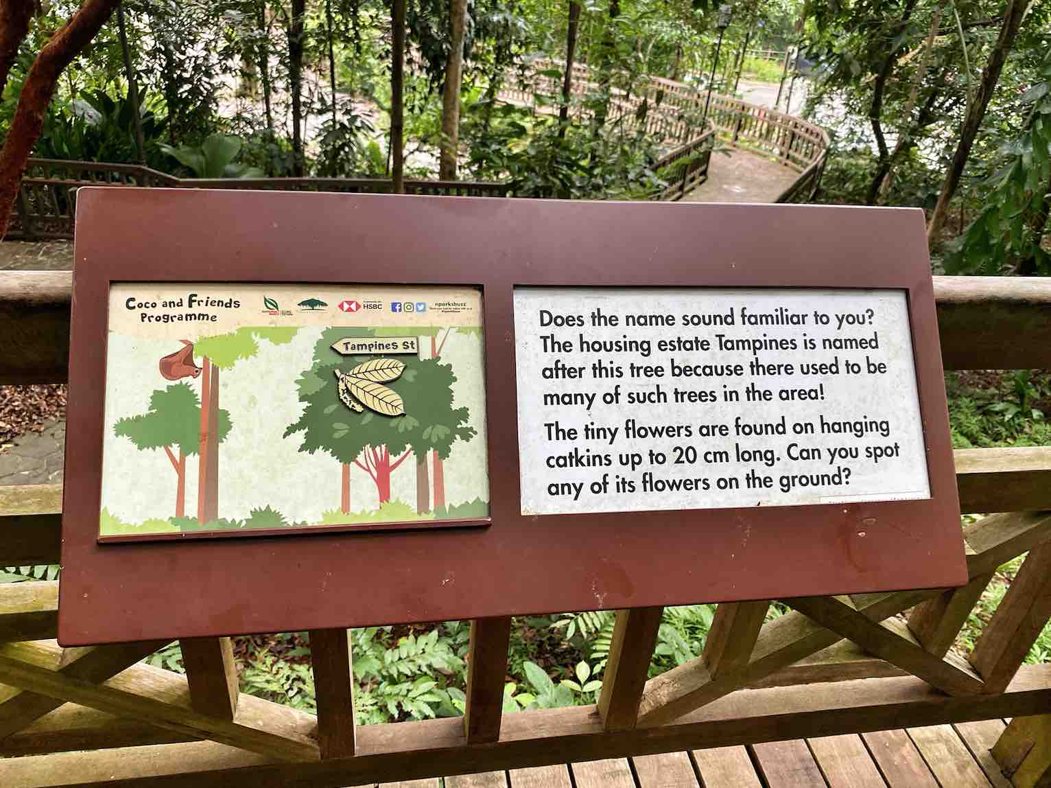 Bukit Timah Nature Reserve - Explore Singapore Hidden Nature Gem