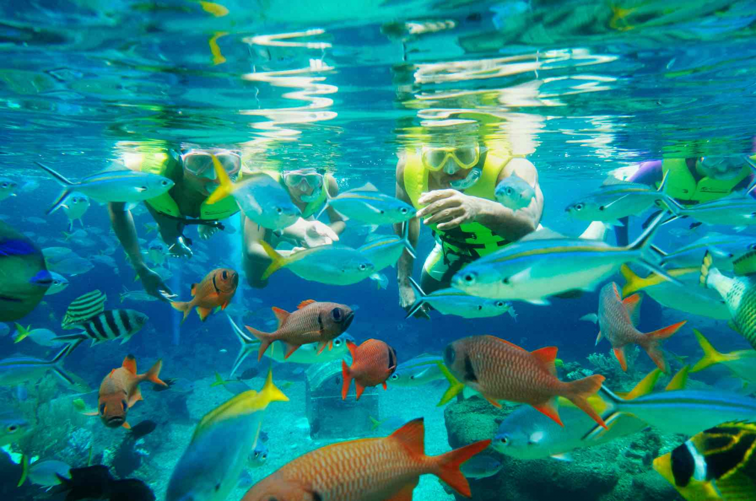 Adventure Cove Waterpark Sentosa Reopens For A Splashing Good Time