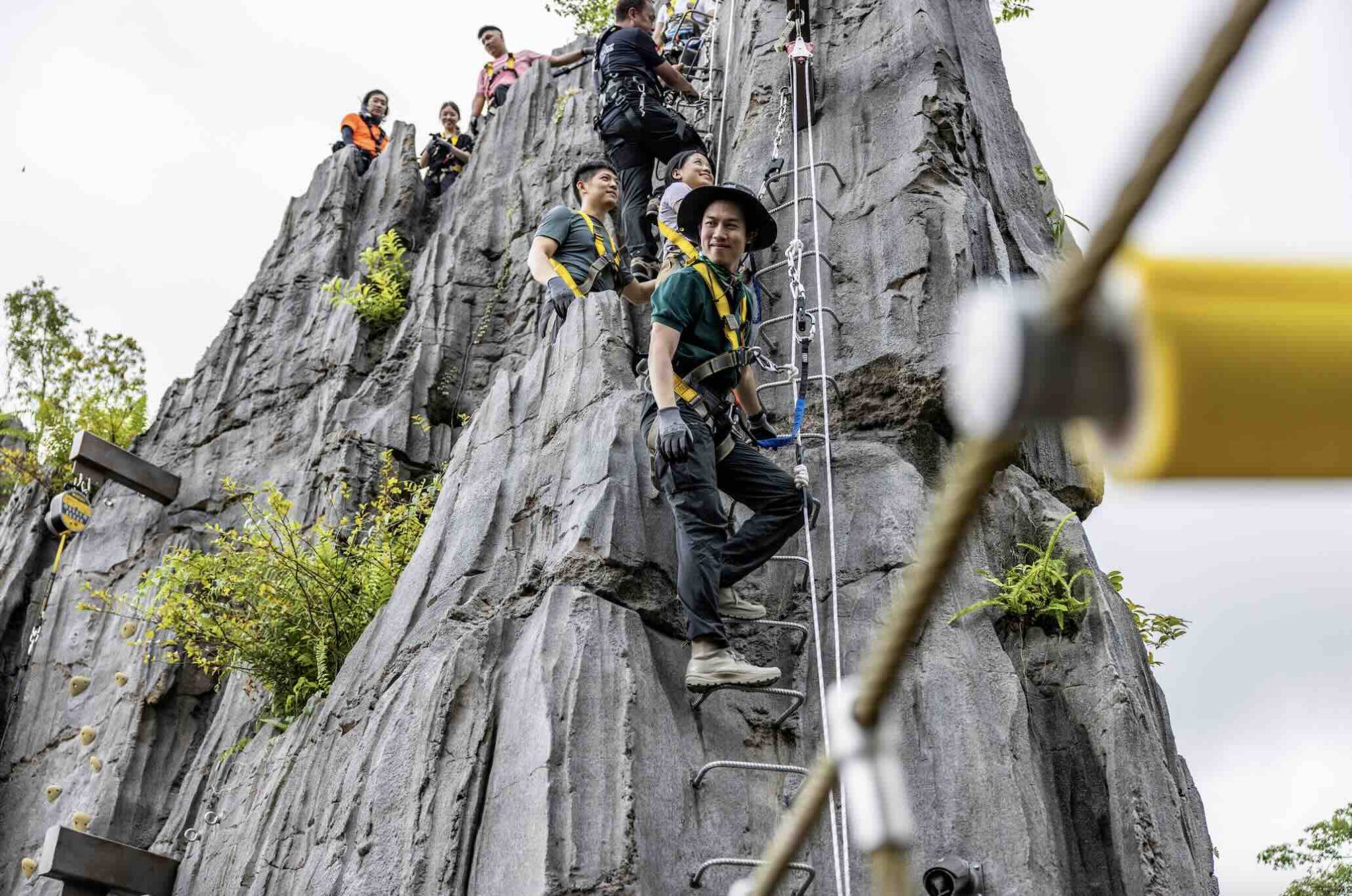 Rainforest Wild Asia Singapore: Your Ultimate Rainforest Adventure